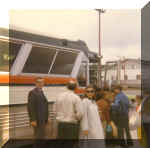 Fern01.jpg (113552 bytes)